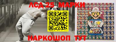 apvp Коммунар