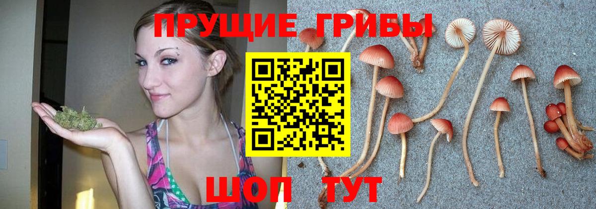 Псилоцибиновые грибы мухоморы Кинель