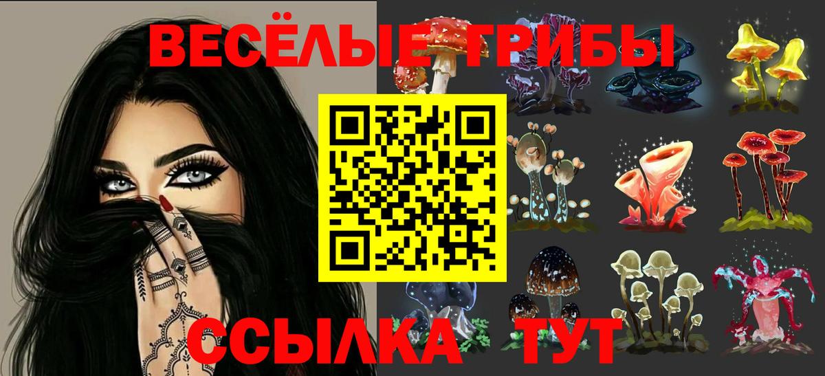 Галлюциногенные грибы Cubensis  Вход с VPN  Кинель 