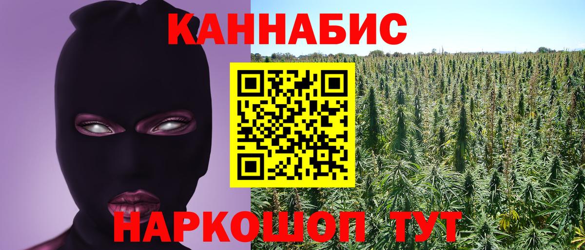 Шишки марихуана VHQ Кинель